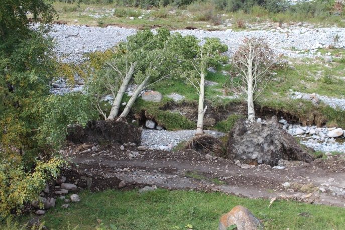 Traces left by mudflows in the park