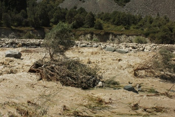 Traces left by mudflows in the park